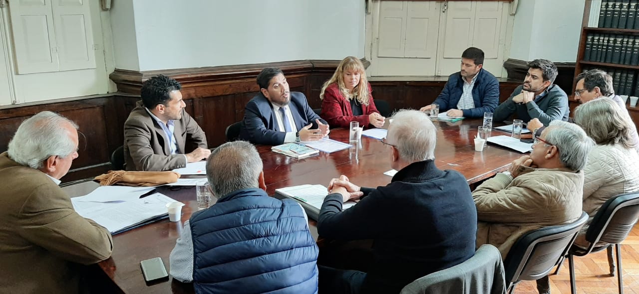 Reforma del CIF: el CMFS expuso su posición ante Diputados