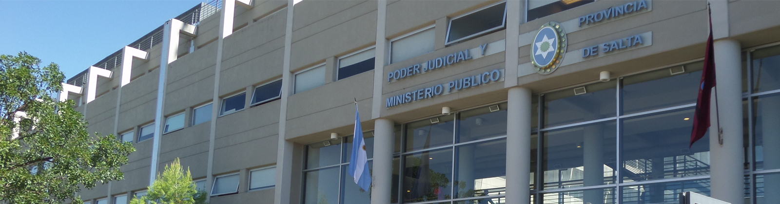 Pedido del CMFS a la Corte y al Ministerio Público para el retorno a la actividad